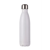 Stainless Bottle